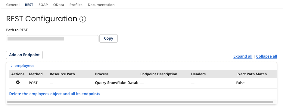 Snowflake API config