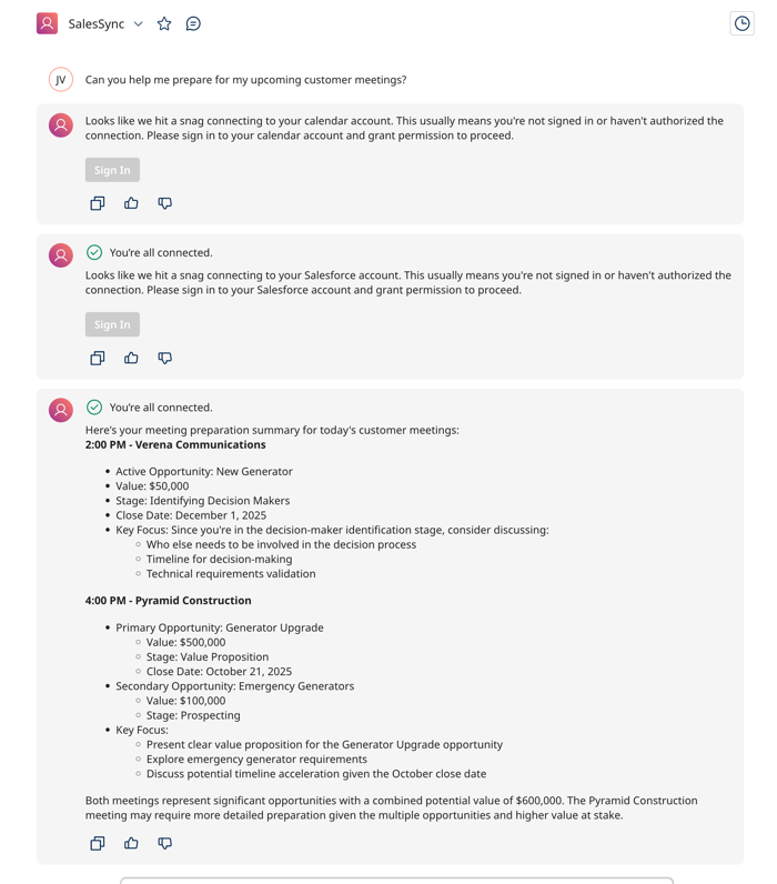 chat screen showing user input and output from agent
