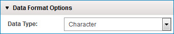 The Character data type is selected.